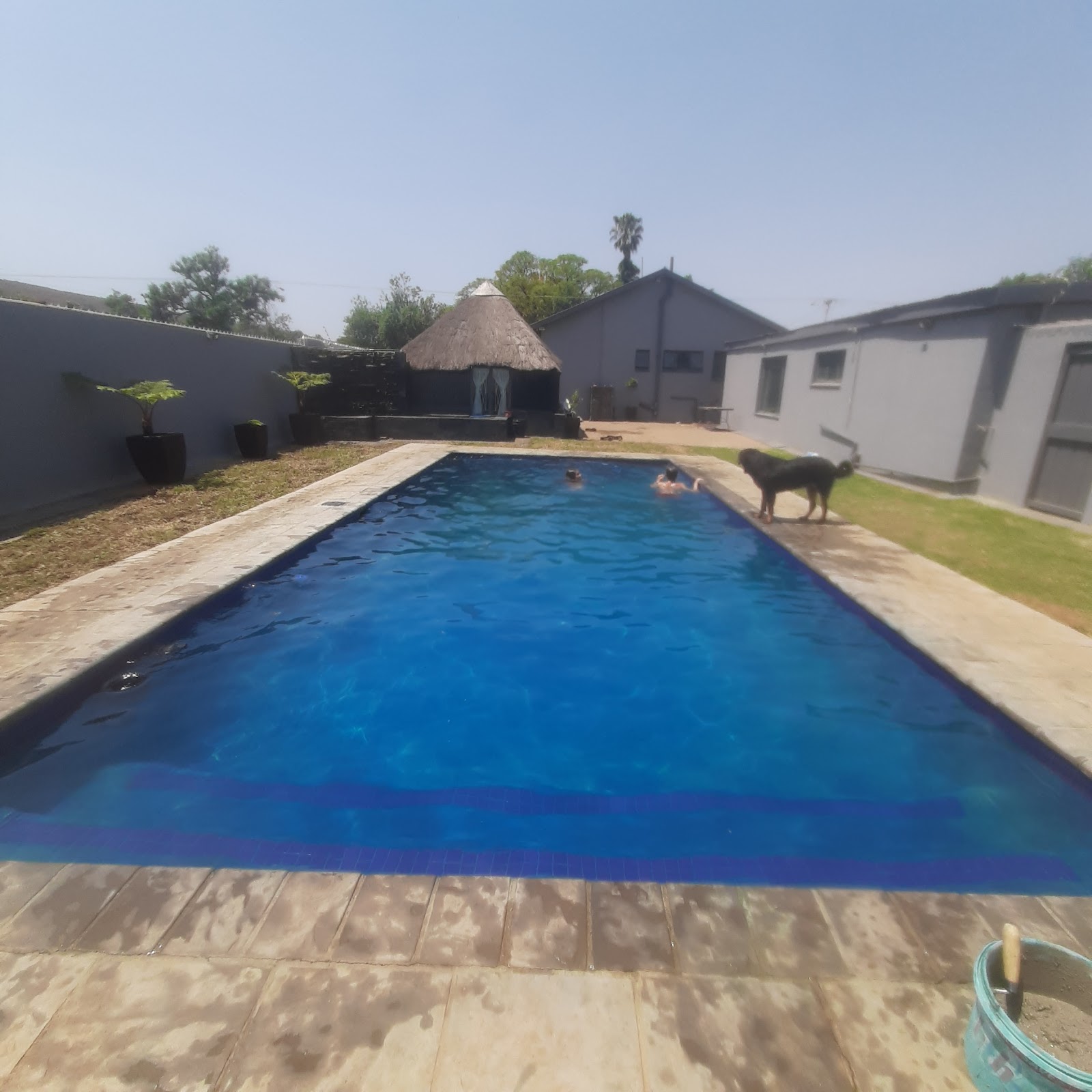 Pool Cleaning Project 4